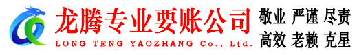 龙文收账公司